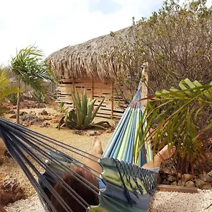 Bamba From Bonaire Playa