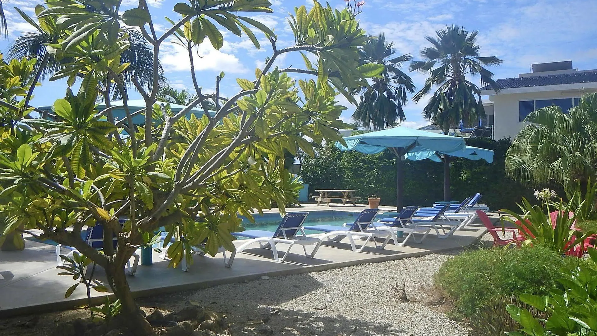 Bonaire Oceanfront Apartments كراليندايك